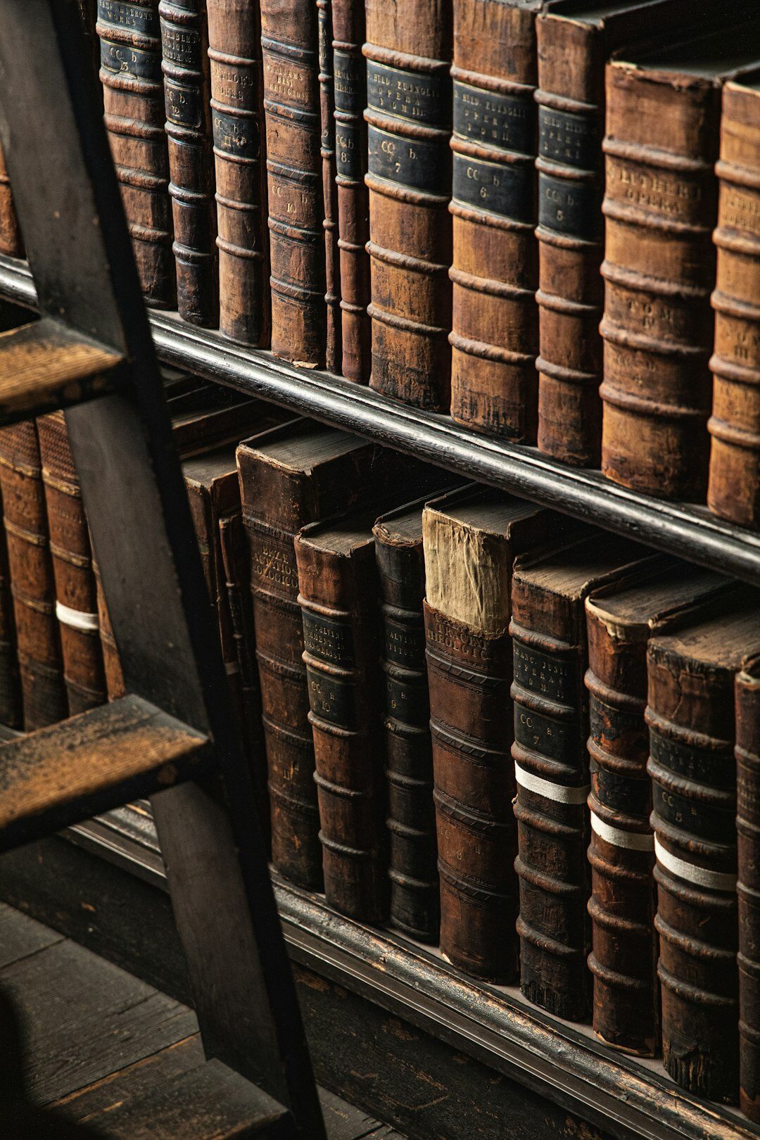 detective books on shelf