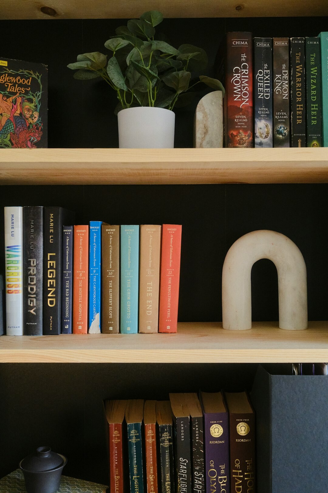 bookshelf with thrillers