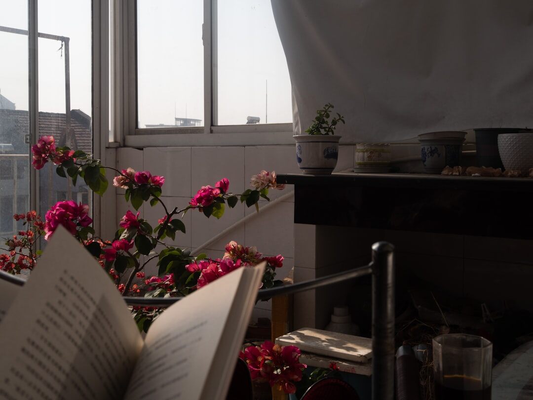 cozy reading nook with book